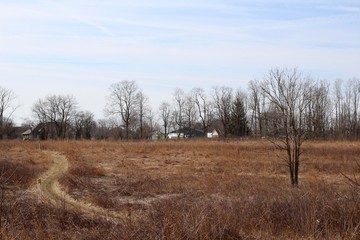A view of the brown grass prairie field in the countryside.