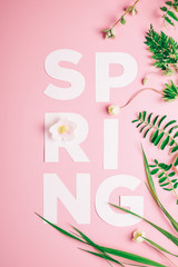 Creative layout with inscription Spring flowers and leaves on a pink background. Flat lay Minimalism