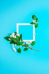 Creative layout with blooming apple tree on a blue background. Flat lay. Concept - spring minimalism