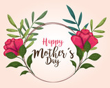 beauty roses plants to happy mothers day