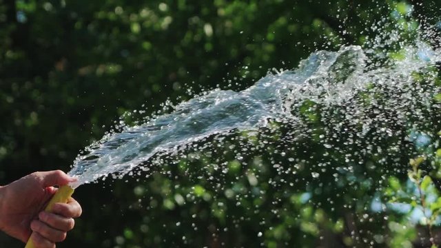 A man with a yellow hose in his hands directs a stream of water directly and higher regulating the process of watering plants in the yard. Close-up.