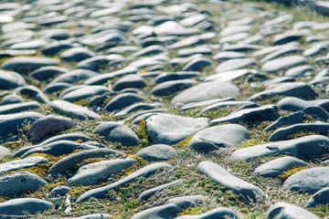 Texture of the old pavement stones in Georgia. Sunlight, glare and grass on the bricks.