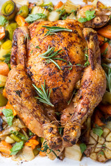  Roast Chicken with Herbs and Vegetables