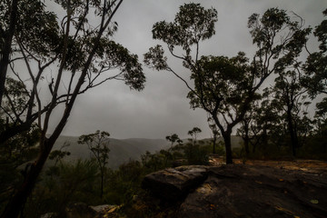 Mist in the mountains