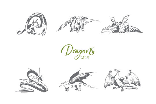 Dragons - different types of dragons vector concept set