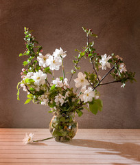 still life whit daffodils