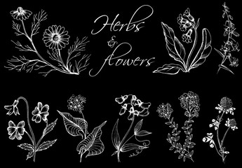 Black floral background with flowers.