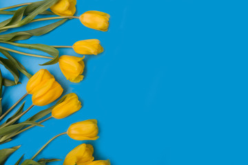 yellow tulips on a blue background. Mother's day. Happy Easter!