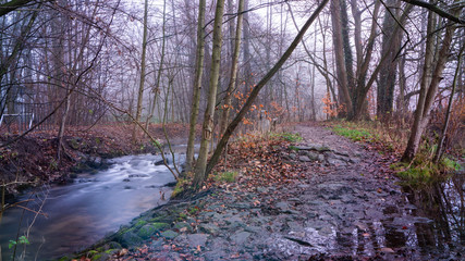 Kleiner Bach im Wald