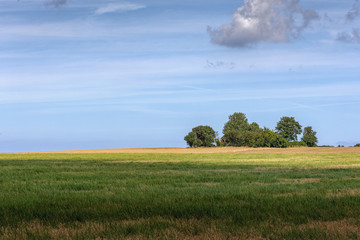  Idyllic Danish countryside