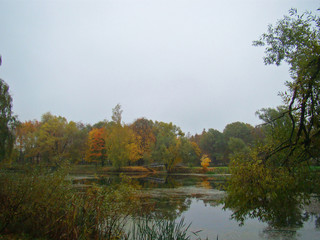 Beautiful rainy autumn view with a pond