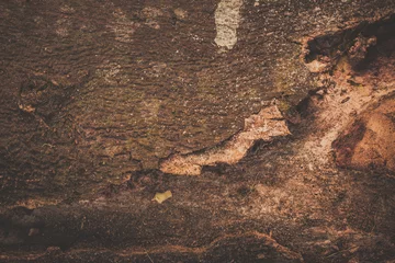 Textur von altem Holz © Candies