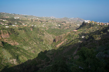 Fototapeta na wymiar Gran Canaria canyon landscape in Moya village, Canary islands, Spain .