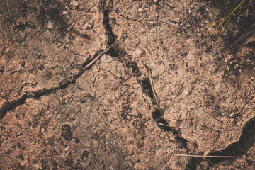 dry cracked earth