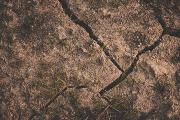 dry cracked earth