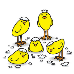 Five Cute Freshly Hatched Staring Yellow Chicks