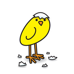 Cute Freshly Hatched Staring Yellow Chick