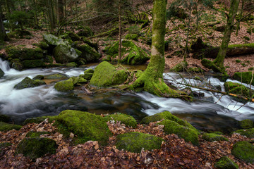Wasserfall mit Steinen voller Moos