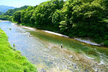 夏の気仙川。陸前高田　岩手　日本。７月上旬。