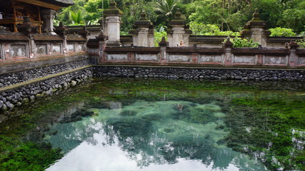 Fototapeta na wymiar Bassin dans un temple indonésien