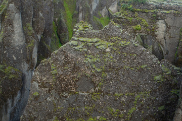 Amazing Fjadrargljufur canyon in summer, Iceland