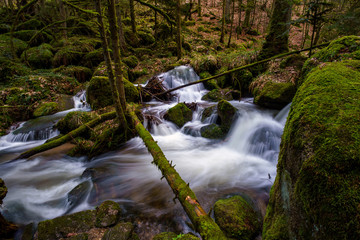 Wasserfall mit Steinen voller Moos