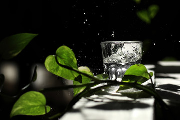 a glass of water on a dark background among the green leaves. Spilled Water from Glass. drops of water on a black background. Eco concept