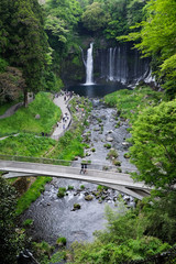 Natural view with clear water streams and many green trees. 
