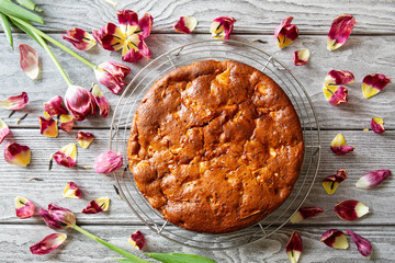 Freshly baked delicious smelling apple pie charlotte cools down on a lattice on a wooden table. Vegan apple pie without eggs, without butter, top view, flat lay