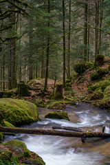 Wasserfall mit Steinen voller Moos