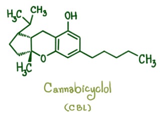 Cannabicyclol (CBL) type: Three cannabinoids characterized by Cannabis were cannabicyclol (CBL), cannabicyclovarin (CBLV), cannabicyclolic acid (CBLA)