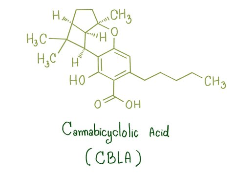 Cannabicyclol (CBL) type: Three cannabinoids characterized by Cannabis were cannabicyclol (CBL), cannabicyclovarin (CBLV), cannabicyclolic acid (CBLA)