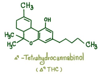 Structure of delta-9-Tetrahydrocannabinol (THC). Nine THC-type cannabinoids with C1To C5 side chain isolated form cannabis plant call marijuana. Illustration 