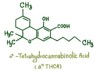 Structure of delta-9-Tetrahydrocannabinolic acid (THCA). Nine THC-type cannabinoids with C1To C5 side chain isolated form cannabis plant call marijuana.