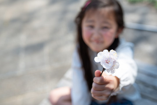 白い花を差し出す女の子 Stock 写真 Adobe Stock