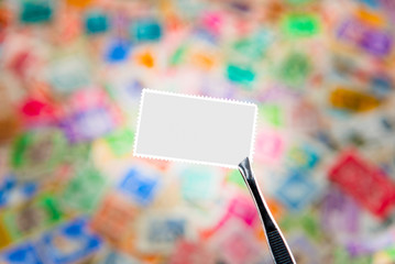 A blank stamp is held up to the camera with a collection of out of focus stamps in the background.