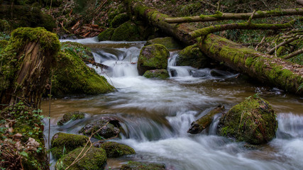 Obraz premium Wasserfall mit Steinen voller Moos