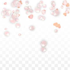 Vector Realistic Petals and Hearts Confetti. Flying Sakura and Hearts on Transparent Background. Wedding Invitation Background. Spring Romance Poster. Vector Illustration for Anniversary Design.