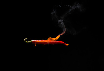Obraz na płótnie Canvas Red chilli with flame, black background, the concept of spicy - pictures