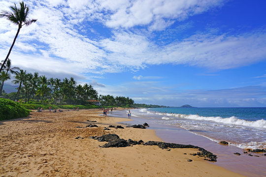 View of palm trees and black lava rock on the beach in Wailea on the West shore of the Hawaiian island of Maui
