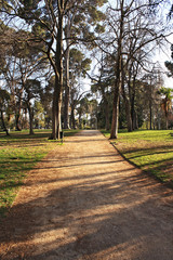 Sun walking through the park