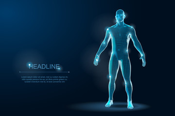 Human Body 3D Polygonal Wireframe Blueprint. Vector Illustration