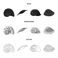 Isolated object of animal and decoration logo. Set of animal and ocean stock symbol for web.