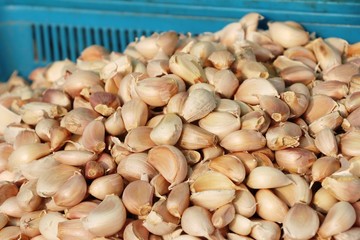 Garlic cloves for cooking at street food