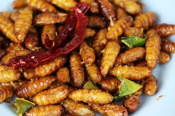 Fried silk worms delicious in street food