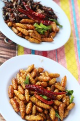 Fried silk worms delicious in street food