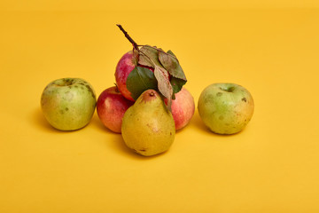 Fresh ripe pears and apples with leaves