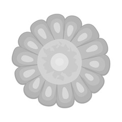 Vector illustration of corn and cob symbol. Set of corn and hot vector icon for stock.