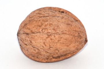 Walnut on a white background close-up macro, side view, copy space for text