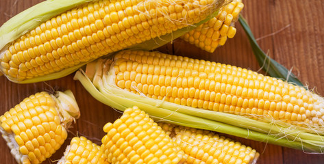 Fresh corn on cobs on rustic wooden table, closeup. Ripe corn. Half of broken open sweet corn